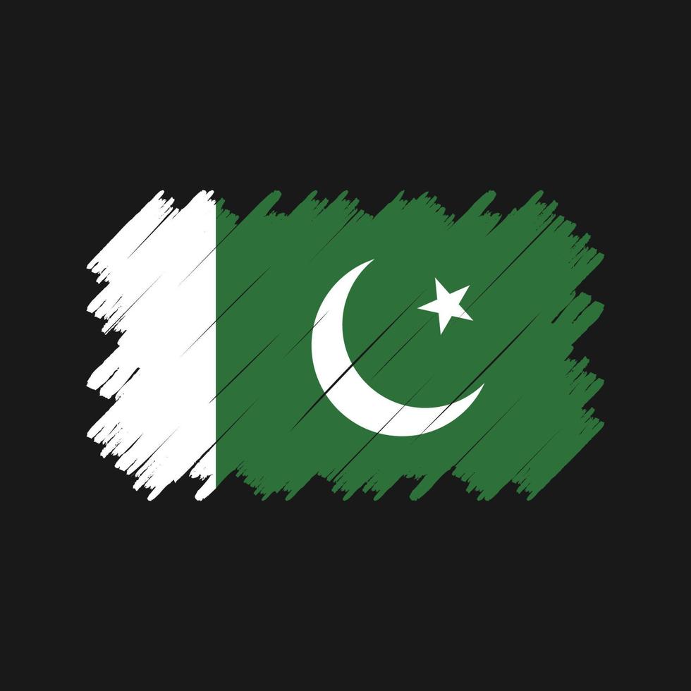 pakistan flagga borste vektor. National flagga vektor