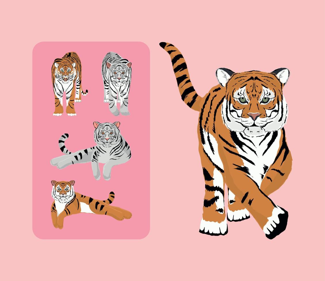 tigrar djur- ikoner vektor