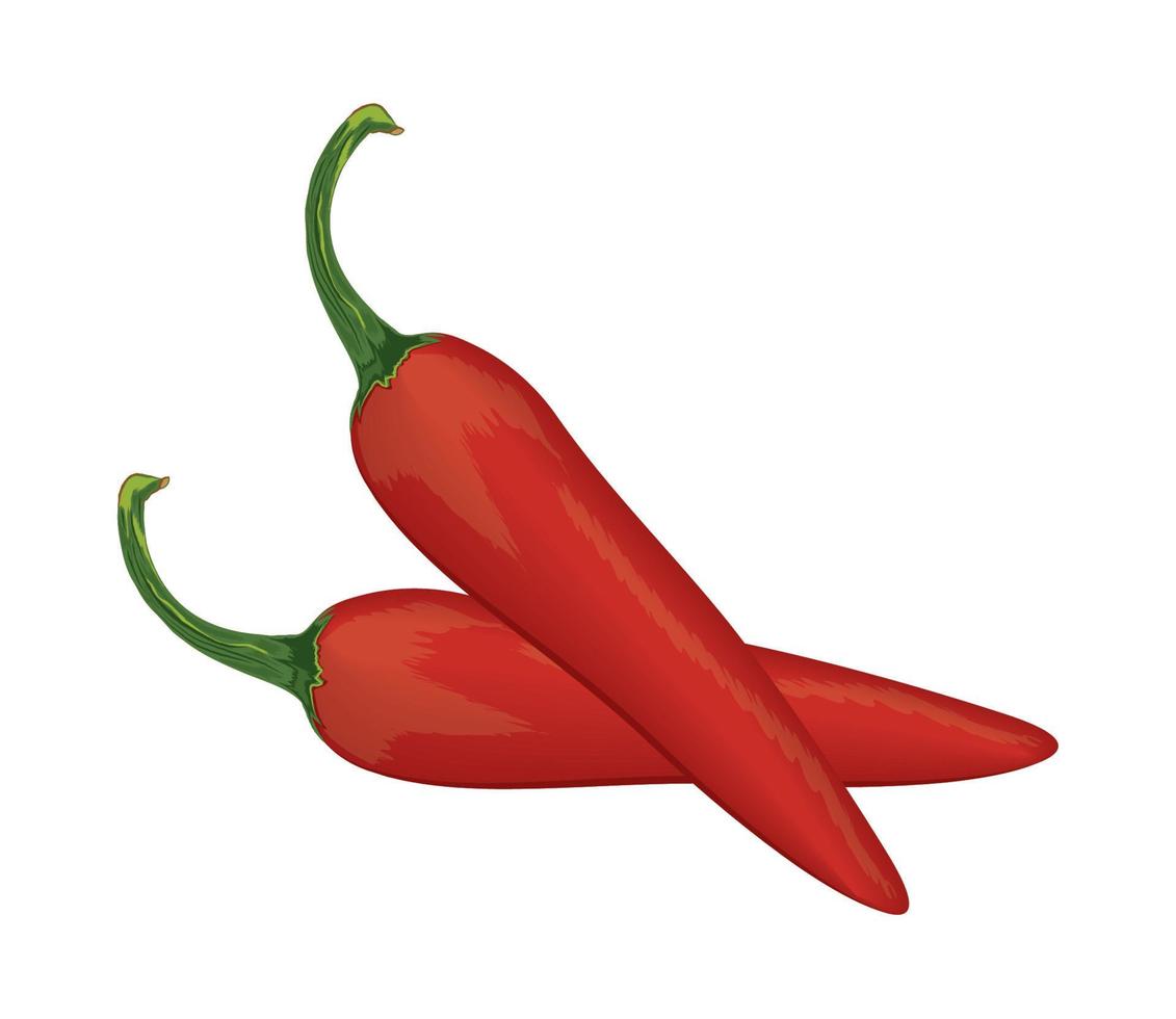 Chili-Pfeffer-Gemüse-Symbol vektor
