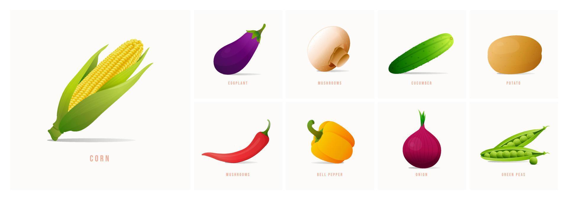 Vektor-Gemüse-Icons im Cartoon-Stil. sammlung landwirtschaftliches produkt für restaurantmenü, marktetikett. vektor