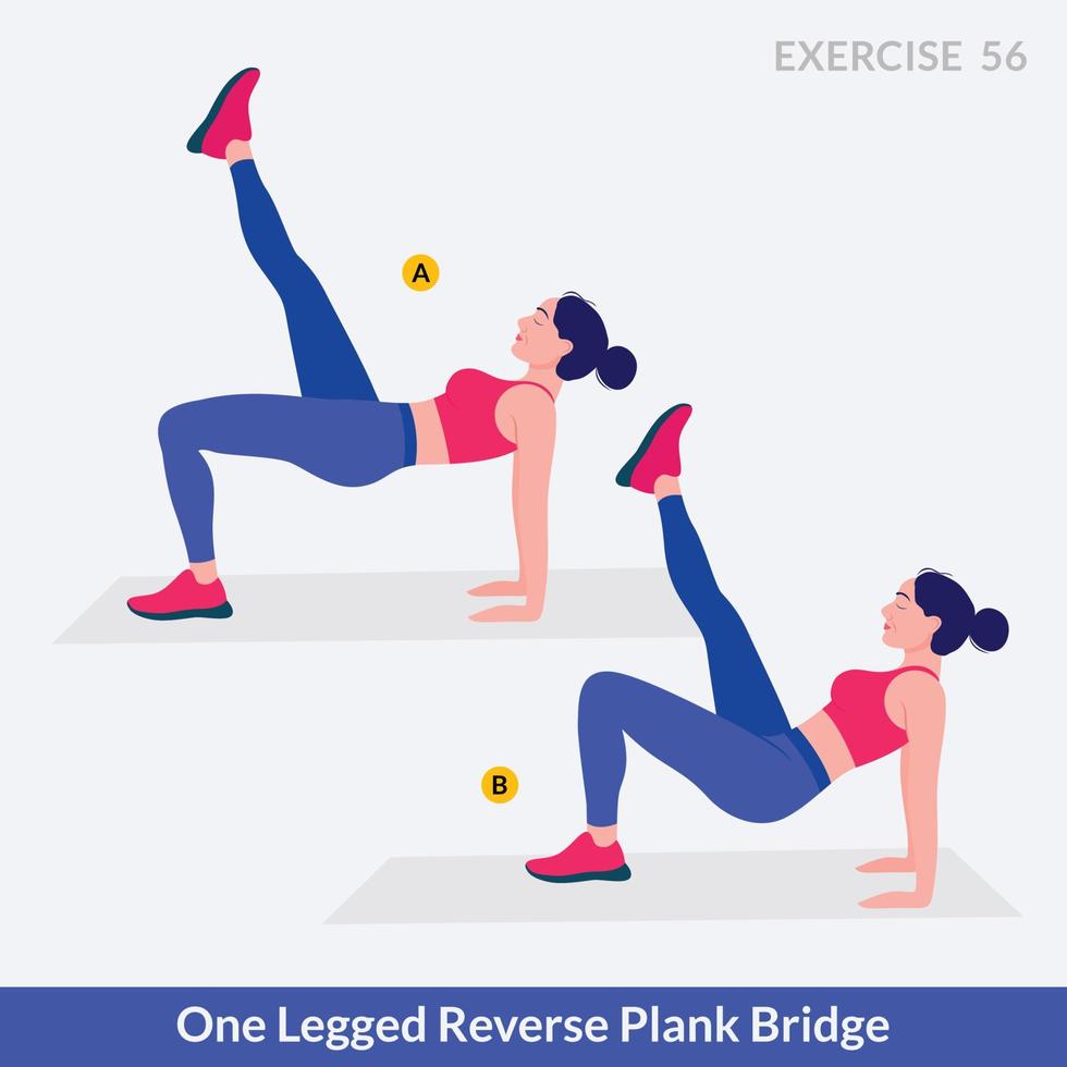 einbeinige Reverse-Plank-Übung, Frauentraining, Fitness, Aerobic und Übungen. vektor