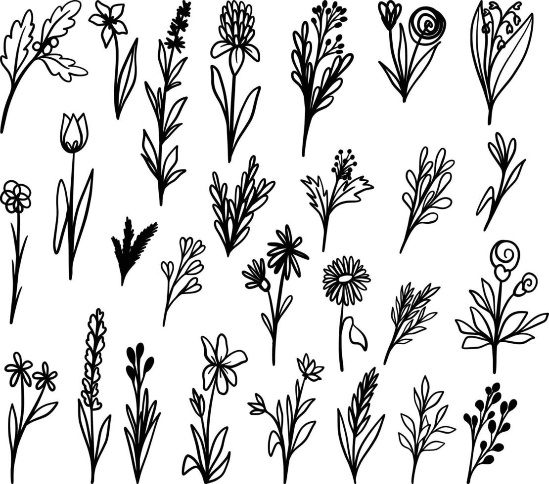 florale Strichzeichnungen, Blätter Clipart, Illustration, Blatt, Zweigvektor für Karten, Einladung, Hintergrund vektor