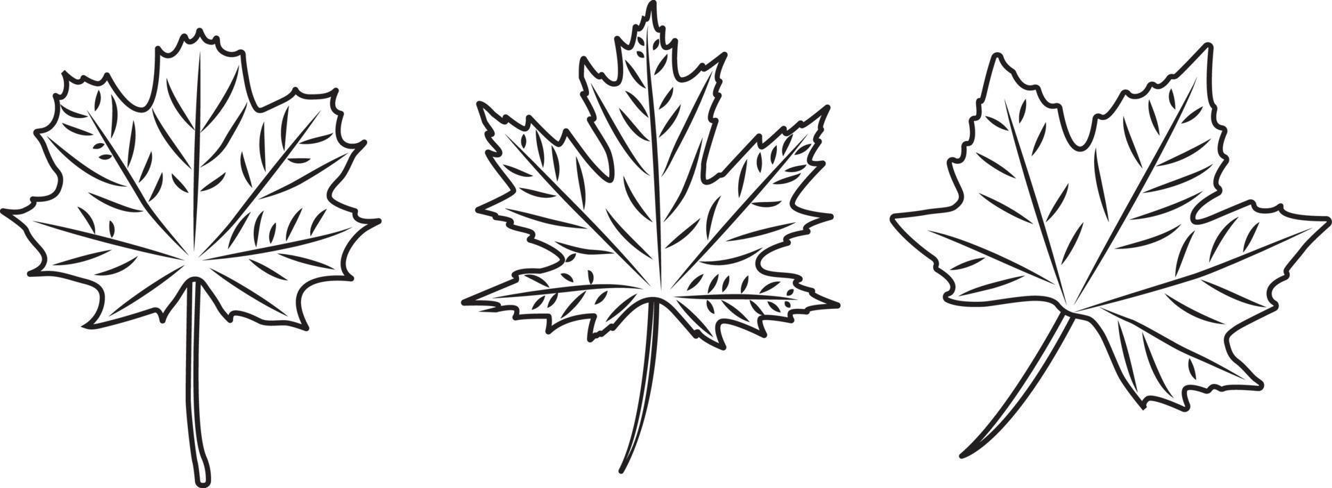 klassisk falla löv i tre annorlunda former svart och vit. vektor illustration