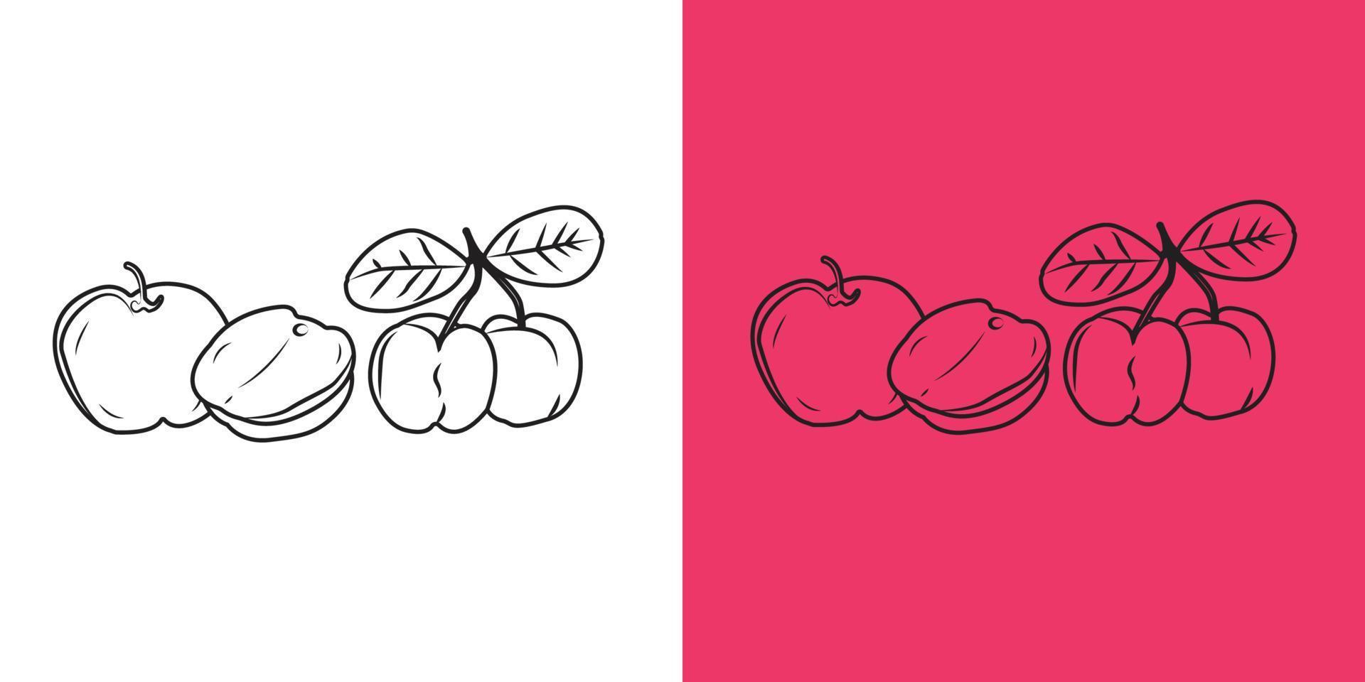 acerola körsbär frukt eller äpple vektor illustration på röd och vit bakgrund.