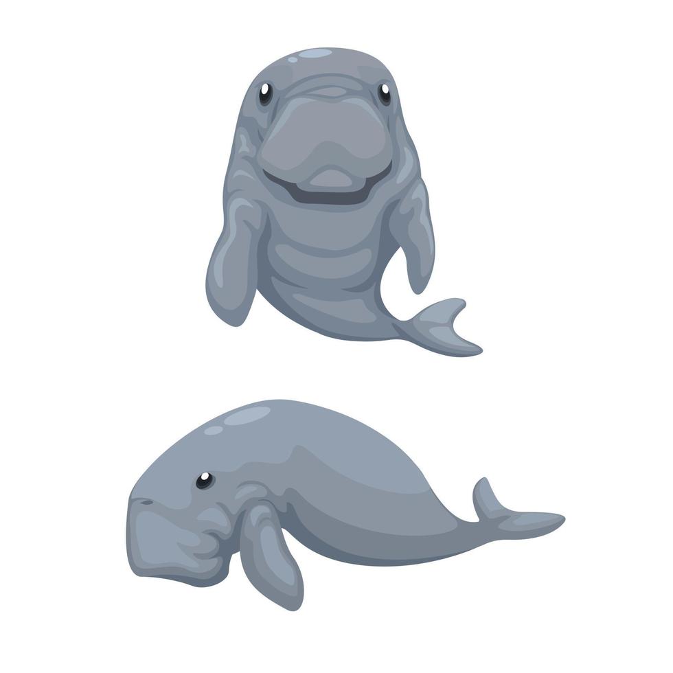 dugong meeressäuger tier set illustrationsvektor vektor