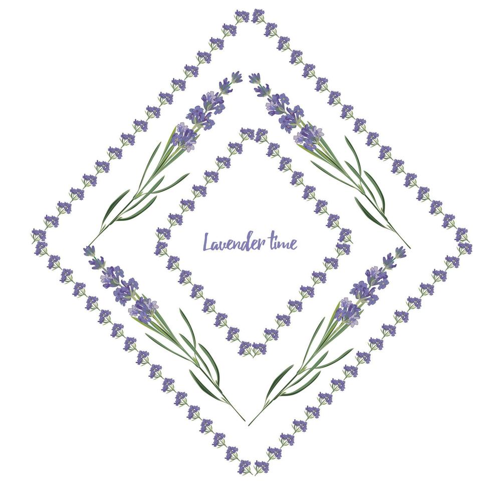 Stellen Sie violette Lavendel schöne Blumenrahmenschablone in der Vektoraquarellart ein, die auf weißem Hintergrund für dekoratives Design, Hochzeitskarte, Einladung, Reiseflayer lokalisiert wird. Botanische Illustration vektor