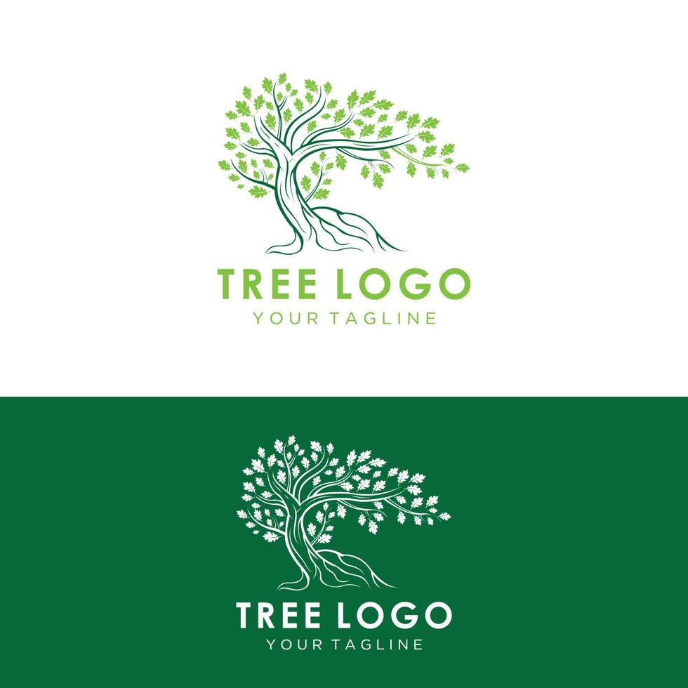 abstraktes lebendiges Baum-Logo-Design, Wurzelvektor - Baum des Lebens-Logo-Design-Inspiration isoliert auf weißem Hintergrund. vektor