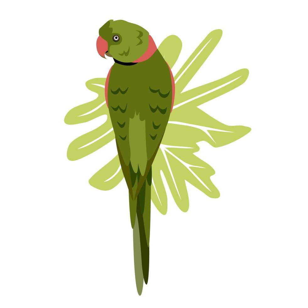 tropisk hand dragen färgrik parrott med blad bakgrund. halsband papegoja grön plommon röd näbb. vektor illustration isolerat på vit bakgrund.