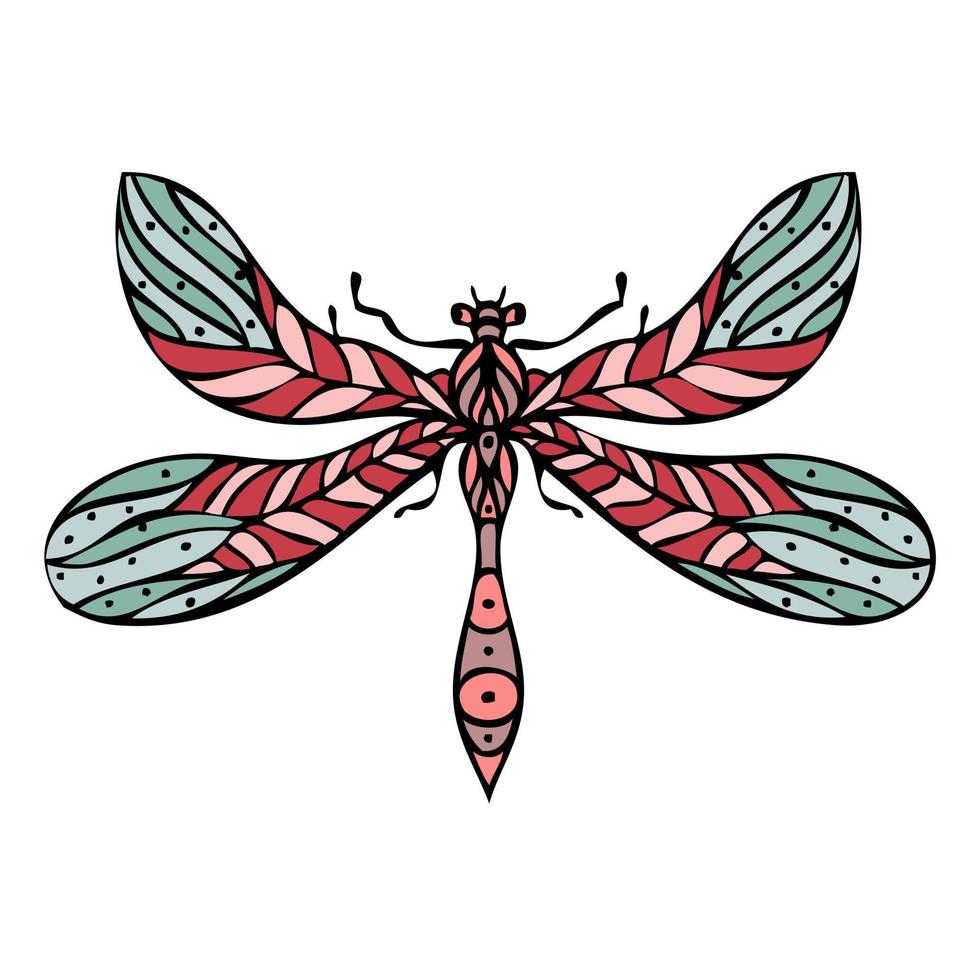 Libelle handgezeichnete isolierte Vektorillustration. vektor