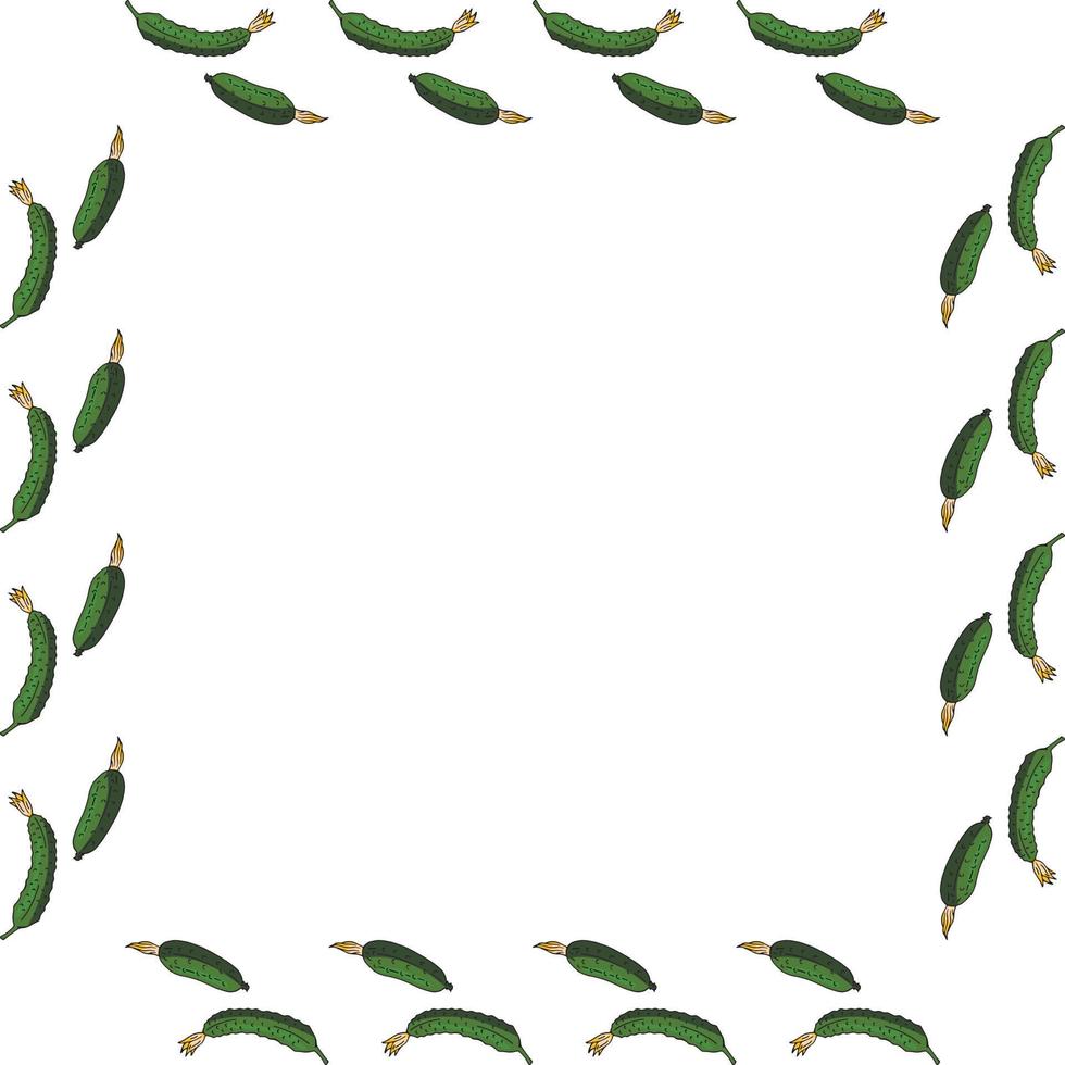 quadratischer rahmen mit horizontaler schöner gurke. isolierter Kranz auf weißem Hintergrund für Ihr Design vektor