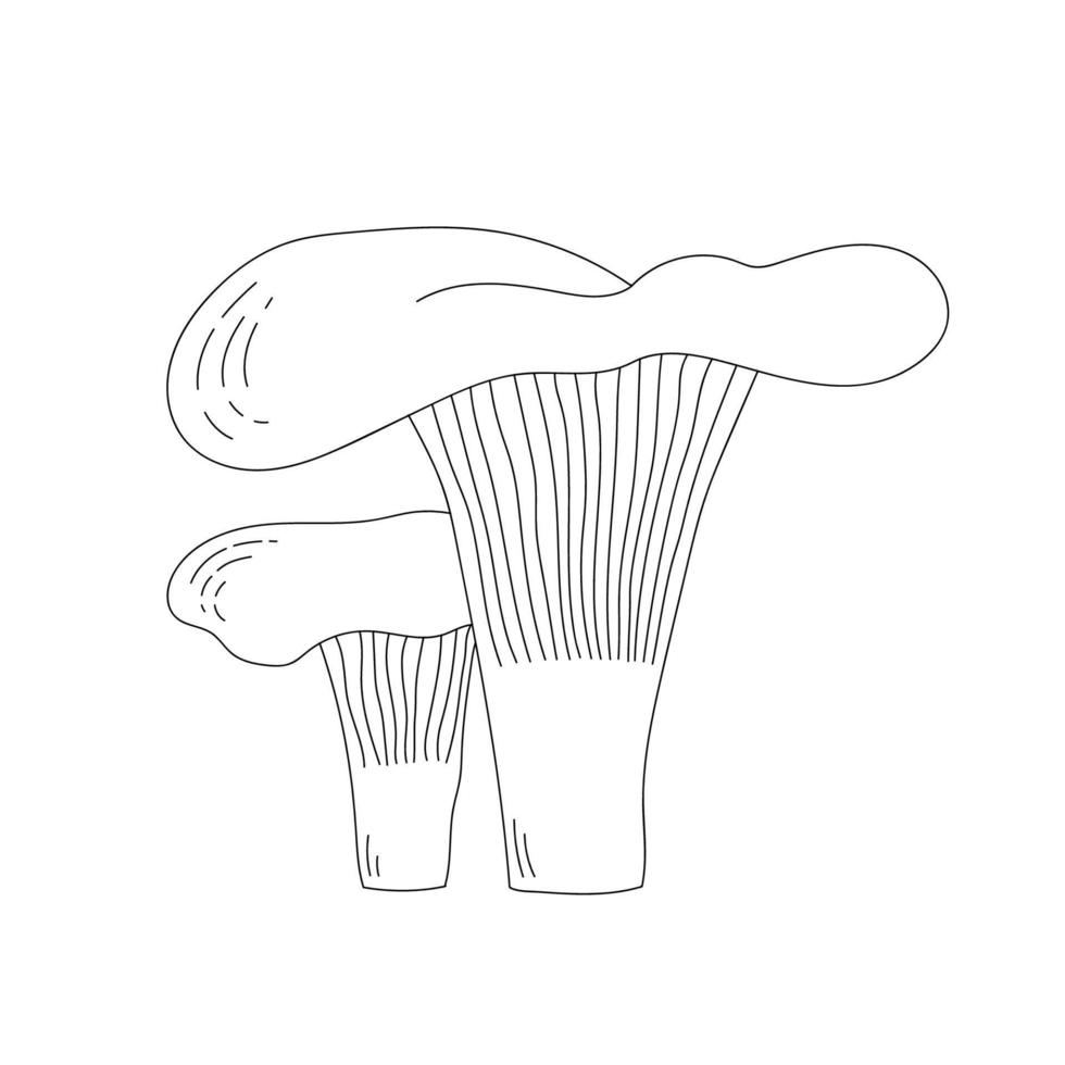 Strichzeichnungen Pfifferlinge. Doodle-Stil. cantharellus, Gourmetküche, vegetarisch. vektor