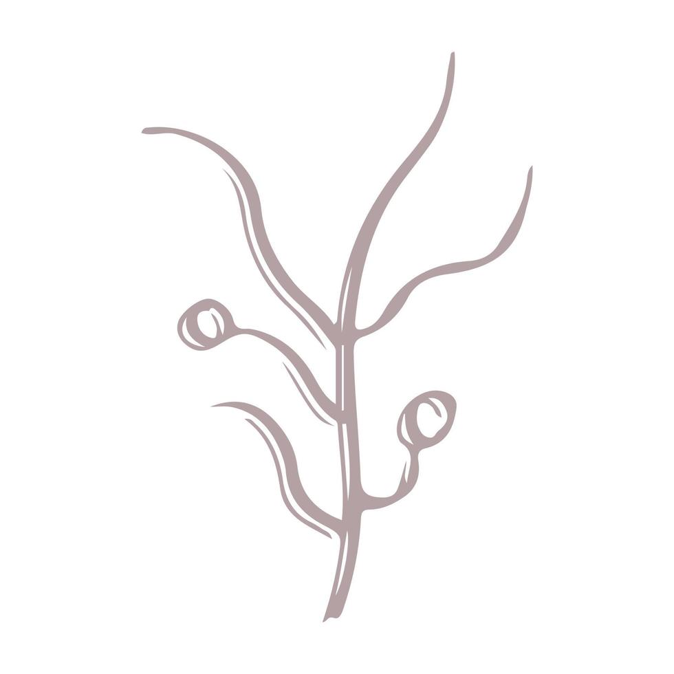 botanische Pflanze abstrakte Hand gezeichnet vektor