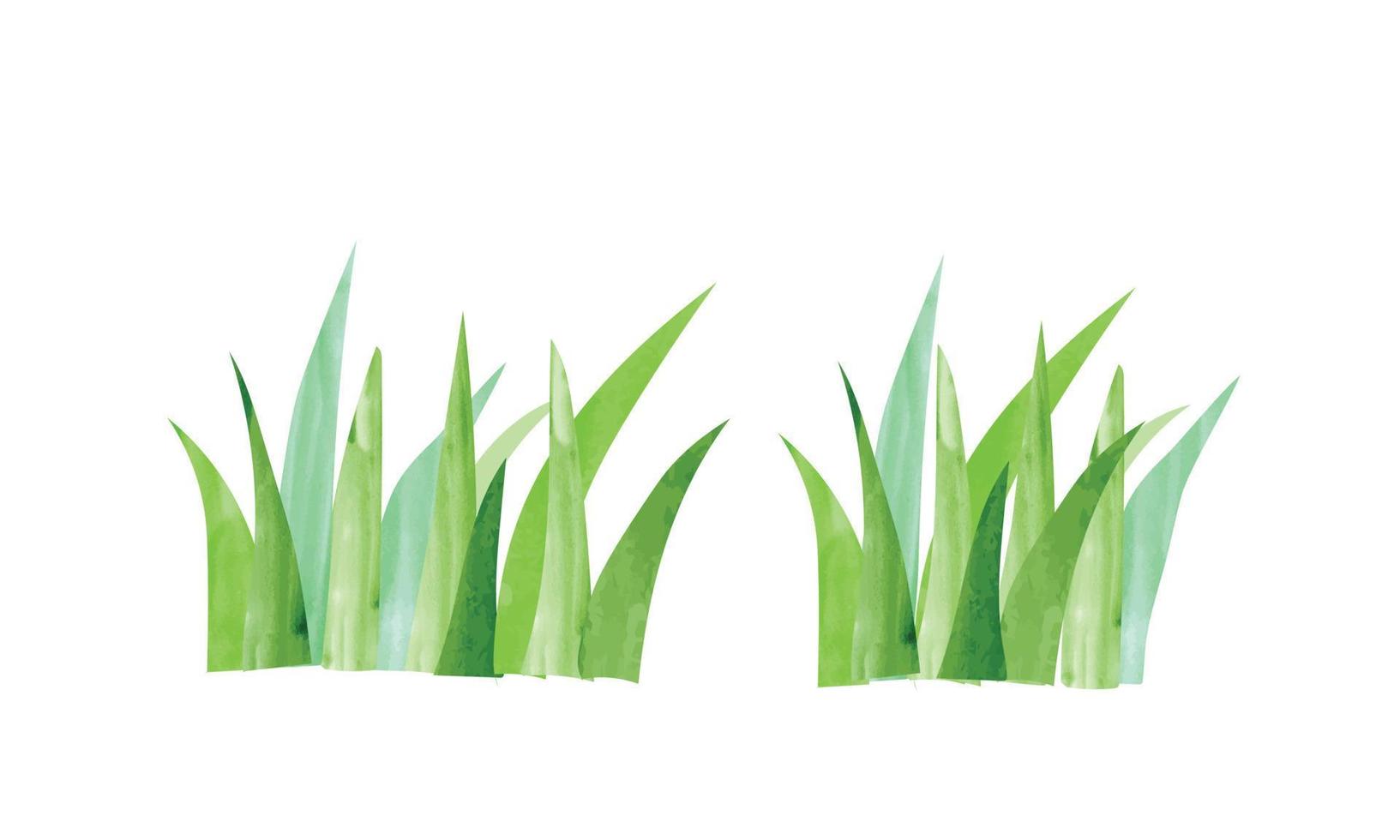 einfache Aquarellmalereiillustration des grünen Grases lokalisiert auf weißem Hintergrund. Blumenhintergrund handgezeichnete Cliparts. Cartoon-Gartengraszeichnung vektor