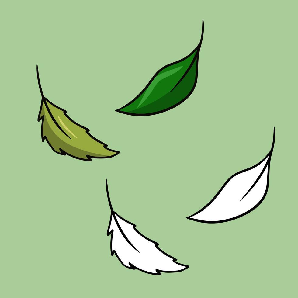 en uppsättning av bilder, grön te löv för bryggning te, cocktail Ingredienser, vektor tecknad serie illustration på en färgad bakgrund