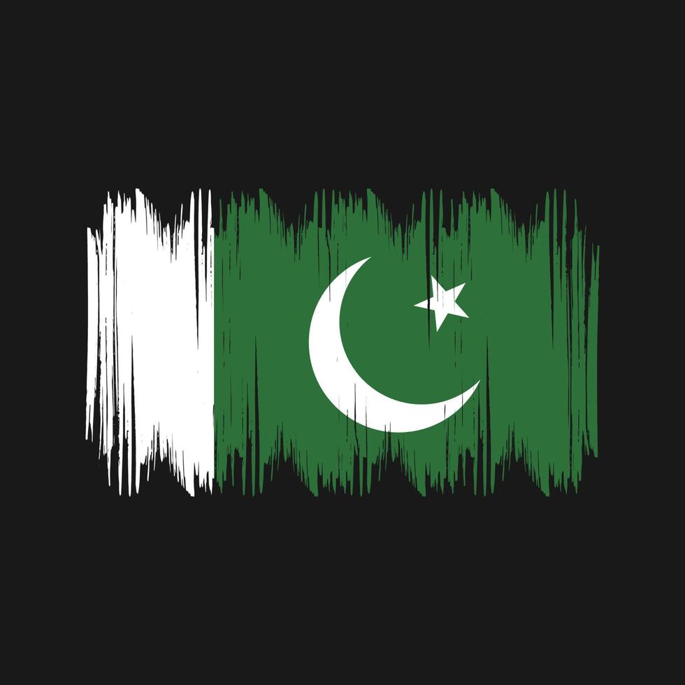 pakistan flagga buske slag. nationell flagga vektor