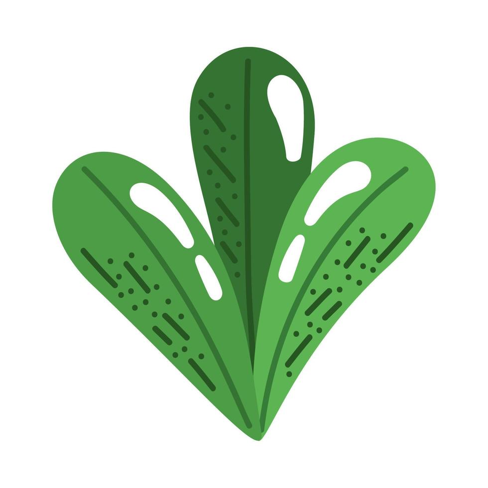 Blätter Pflanzenökologie vektor