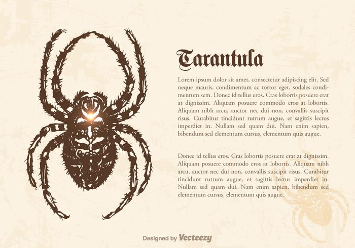 Gratis Tarantula Vektorillustration vektor