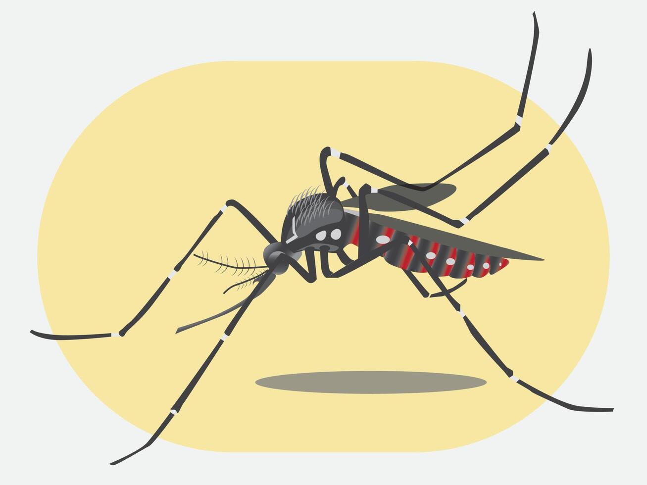 Aedes aegypti mygga i illustration symbol vektor