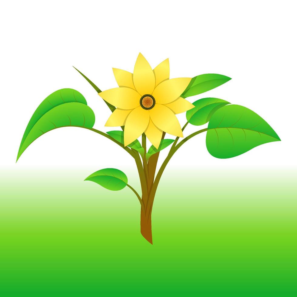 melampodium blomma, små gul solros, bäst av bakgrund, blommig rasfur kudde skriva ut , etc- fri vektor gul blomma