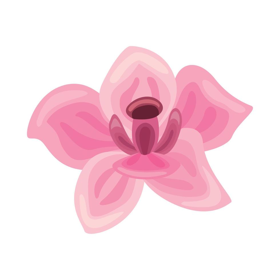 rosa exotisk blomma vektor