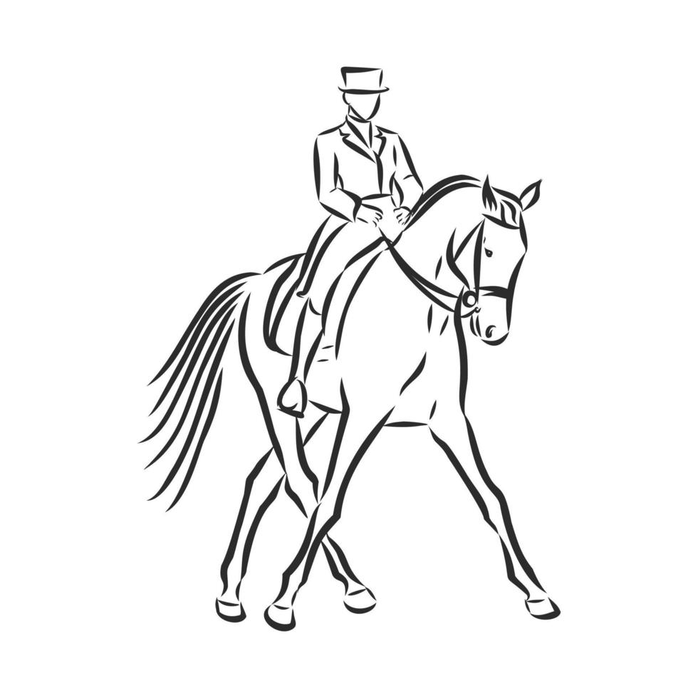 Vektorskizze für das Pferdetraining vektor