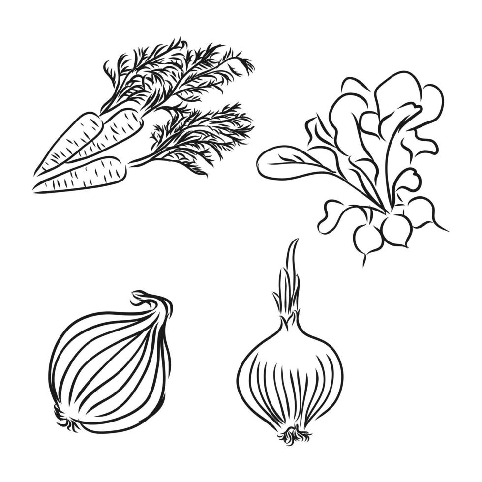 grönsaker vektor skiss