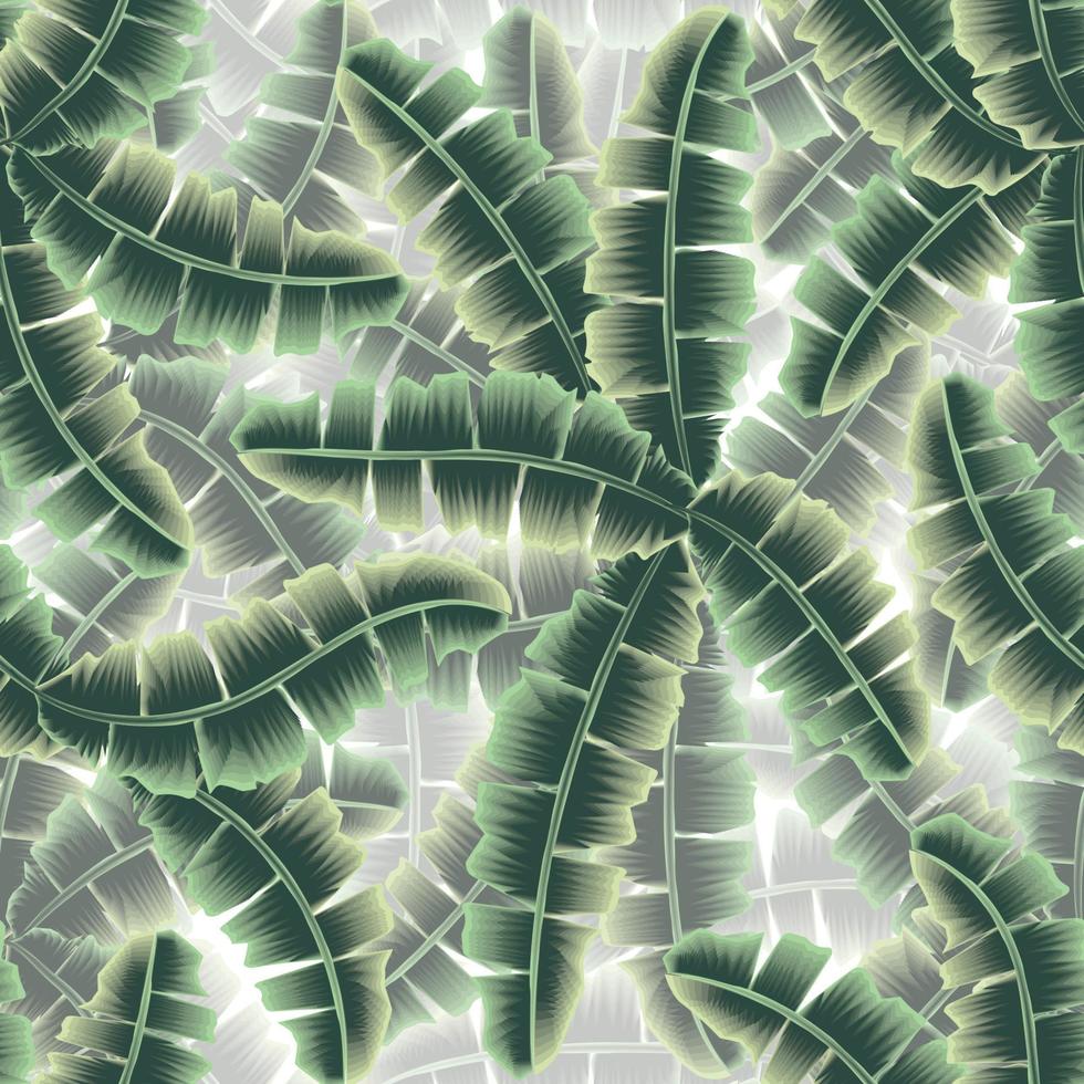 Grüne Bananenblätter nahtlose tropische Musterpflanze mit einfarbigem Farbstil und schönem Schatten auf weißem Hintergrund. Stoffstruktur oder Tapete. exotischer Strandsommer unter dem Motto. Naturhintergrund vektor