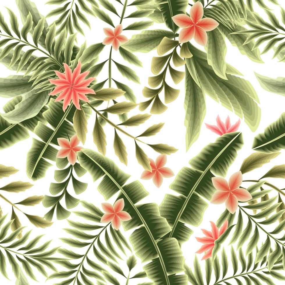 grön löv sömlös tropisk mönster med banan växter blad, röd blomma och handflatan löv på vit bakgrund. exotisk tropikerna. djungel skriva ut. tropisk tapet. sommar vektor