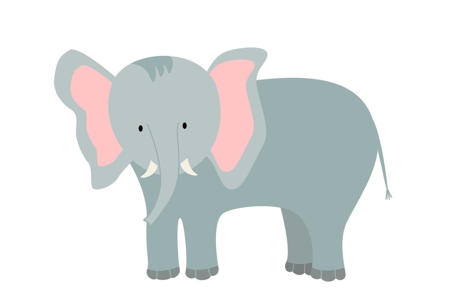 niedlicher Cartoon-Elefant. vektorillustration eines afrikanischen tiers lokalisiert auf weiß vektor