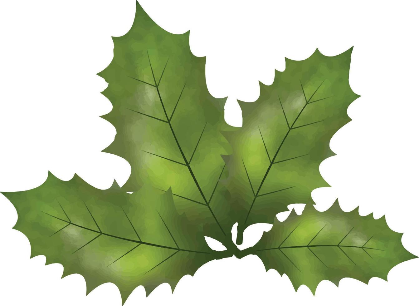 jul symbol vektor illustration. jul järnek löv och grenar med vinter- röd bär vattenfärg vektor illustration för dekorativ element. vektor uppsättning av jul vintergröna järnek löv.