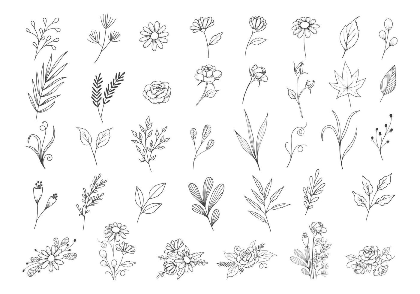 Botanische Sammlung von Wildblumen mit Umrissstil, handgezeichneten Einzel- und Arrangements, Blumencliparts, Blätter, Rose, Gänseblümchen, Laub, Blumenstraußillustration vektor