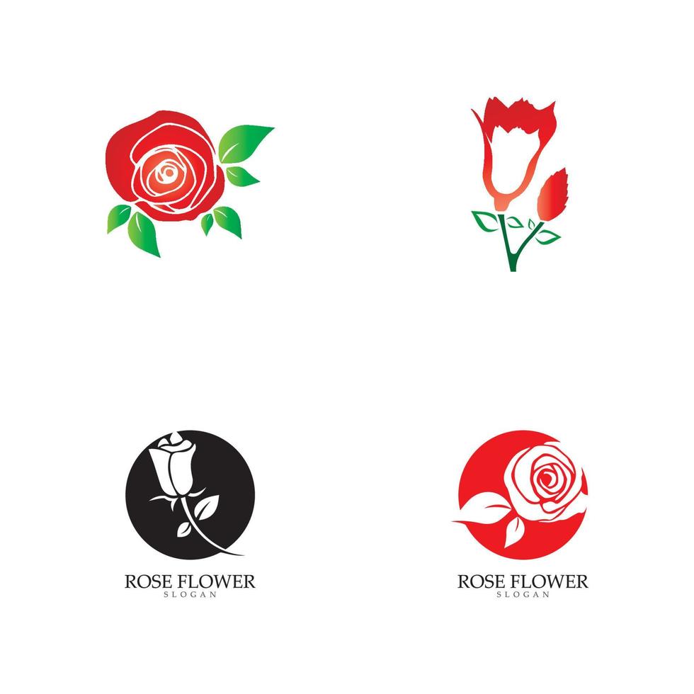 Schönheit Rose Blume Vektor Icon Design-Vorlage