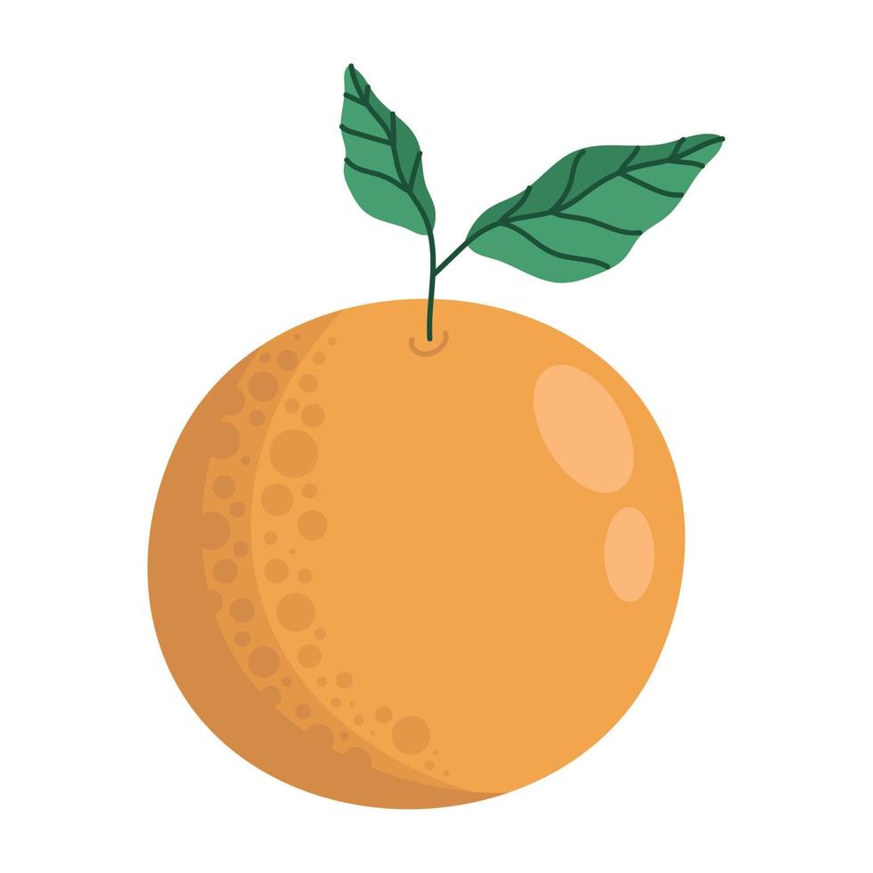 orange färsk frukt vektor