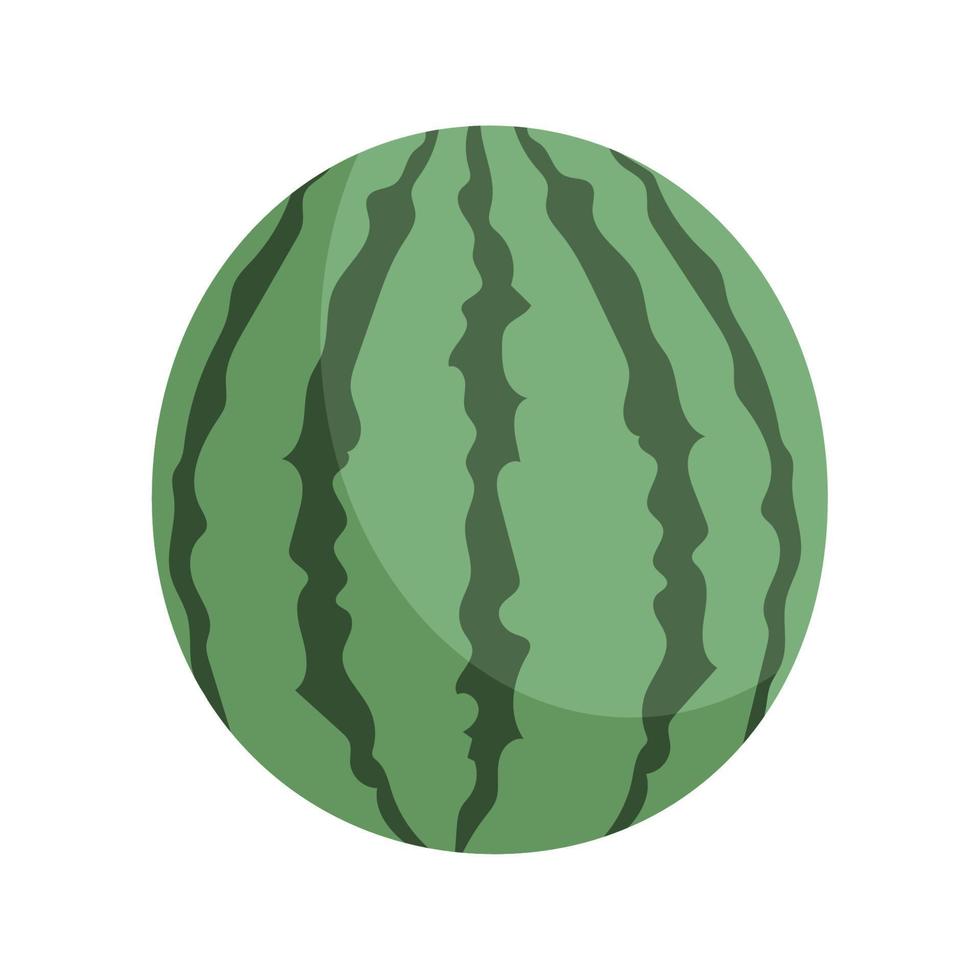vattenmelon färsk frukt vektor