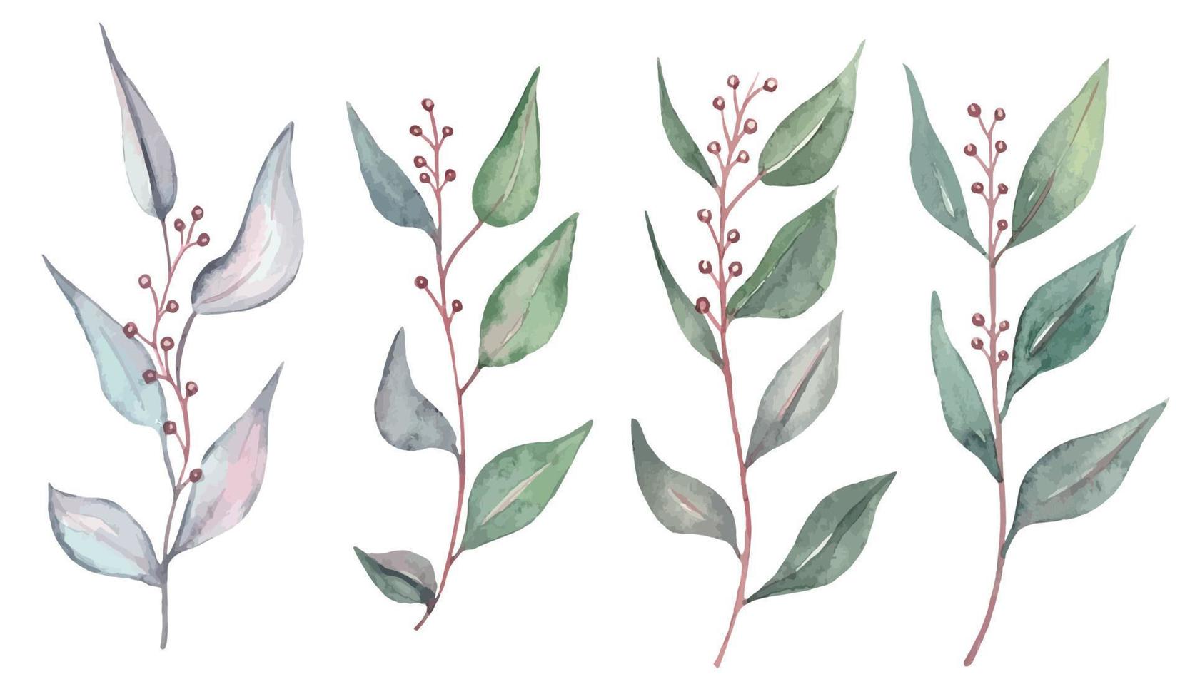 sammlung von grünen blättern, eukalyptus, grünen blättern. aquarellillustration vektor