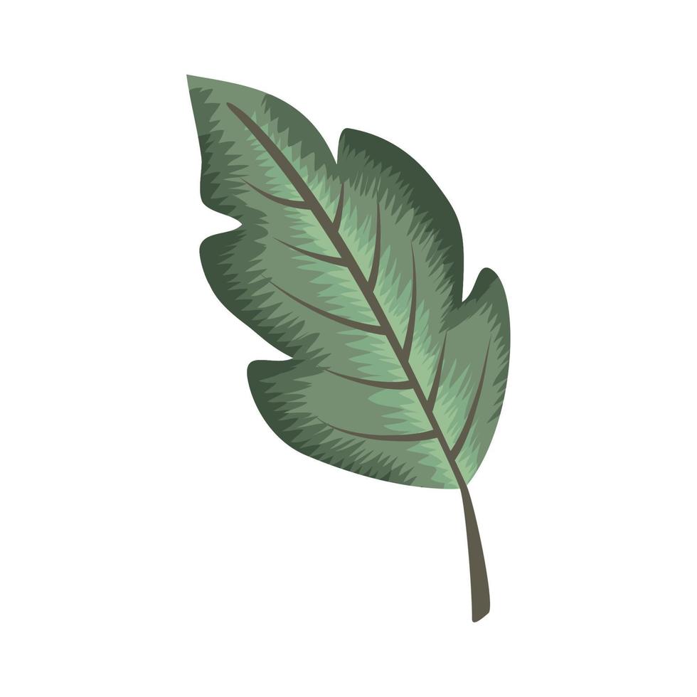 grön blad växt natur vektor