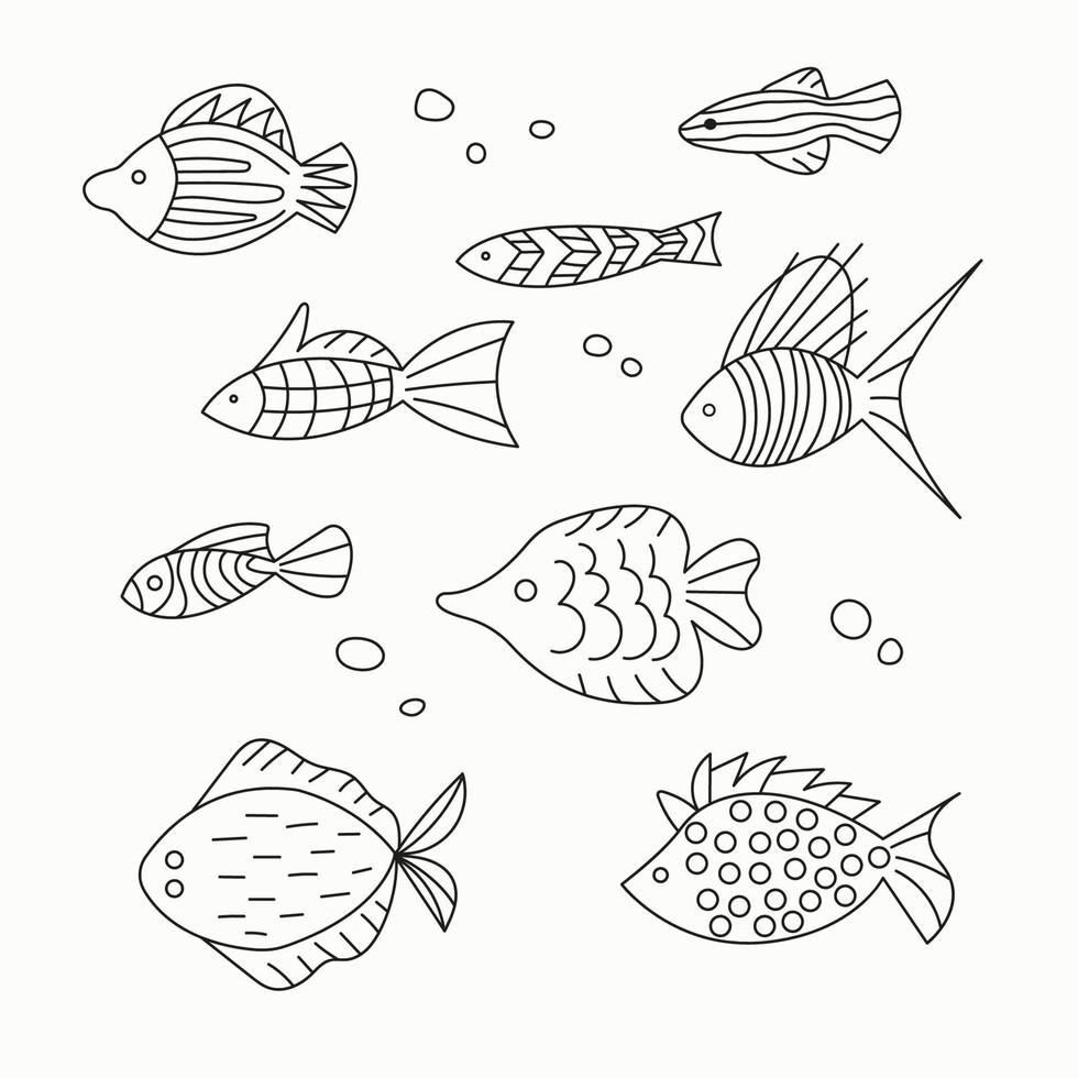 Gruppe von einfachen verschiedenen Fischen mit einem Ornament auf weißem Hintergrund. im Doodle-Stil vektor