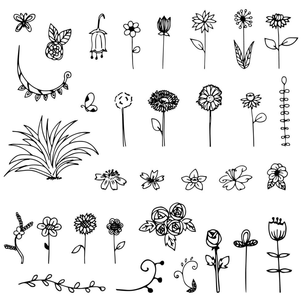 Blumen und Blätter Vektor-Doodle vektor