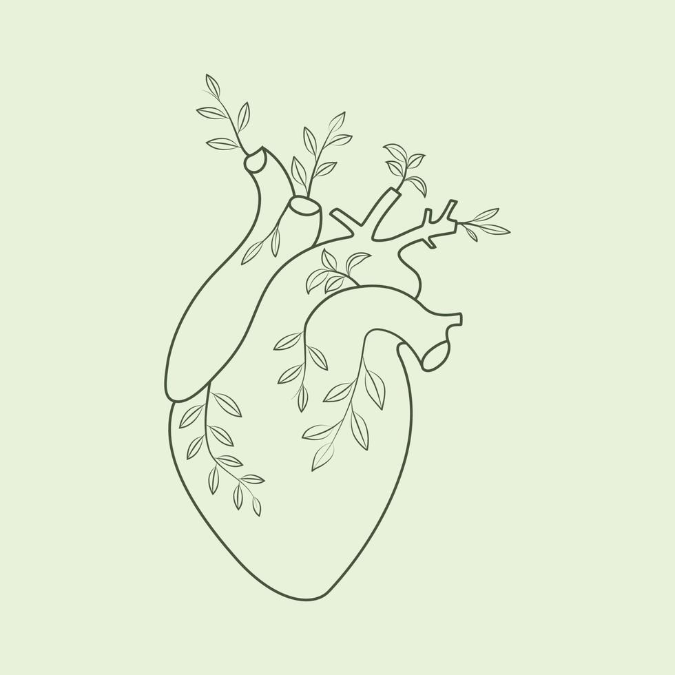 fodrad mänsklig hjärta med växt och löv illustration vektor konst