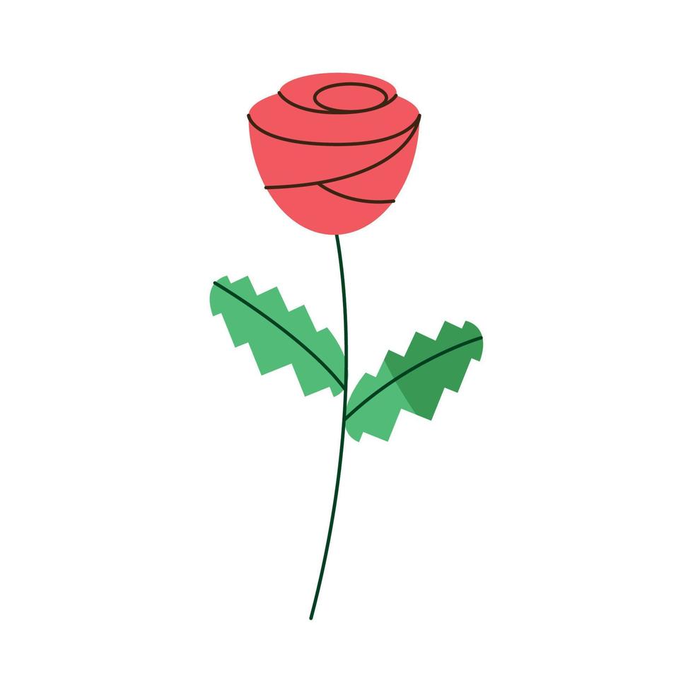 rote rosenblume natur vektor