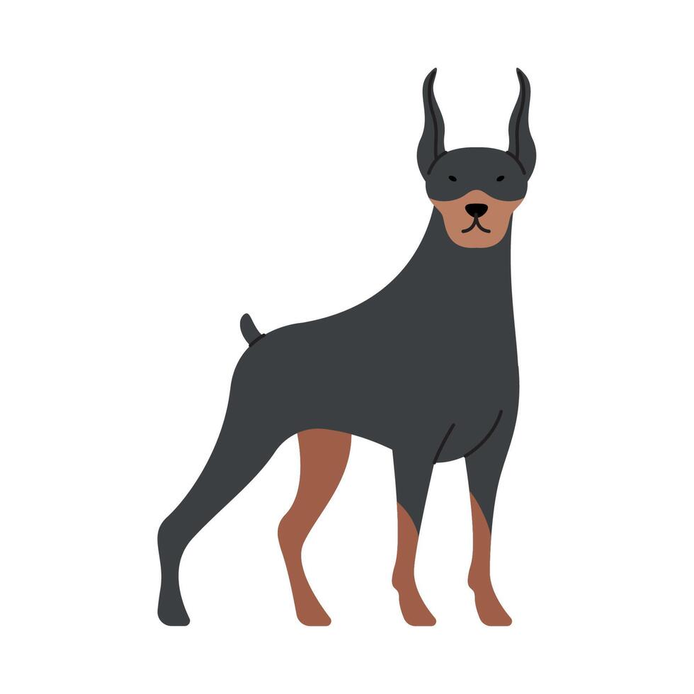 doberman hund maskot vektor