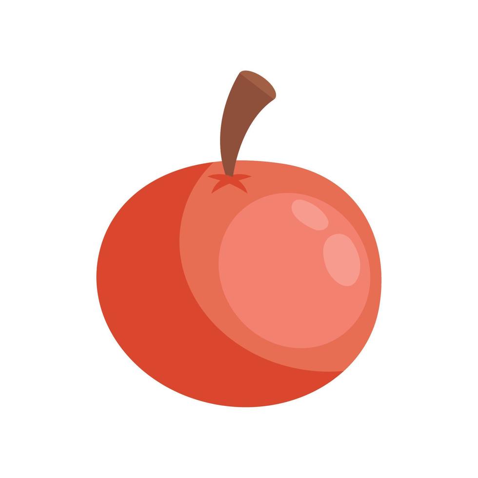 körsbär färsk frukt vektor