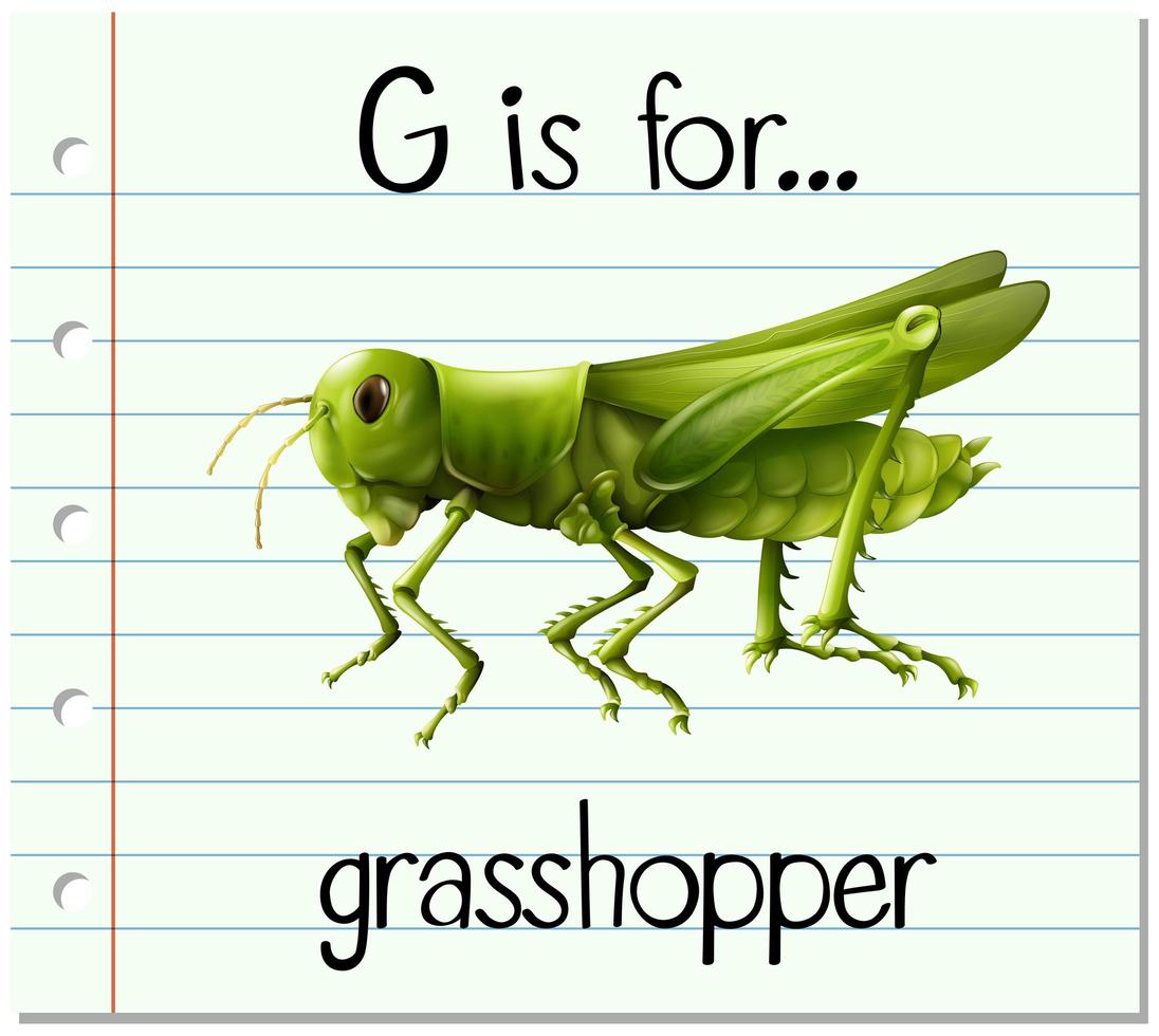 g är för gräshoppa vektor