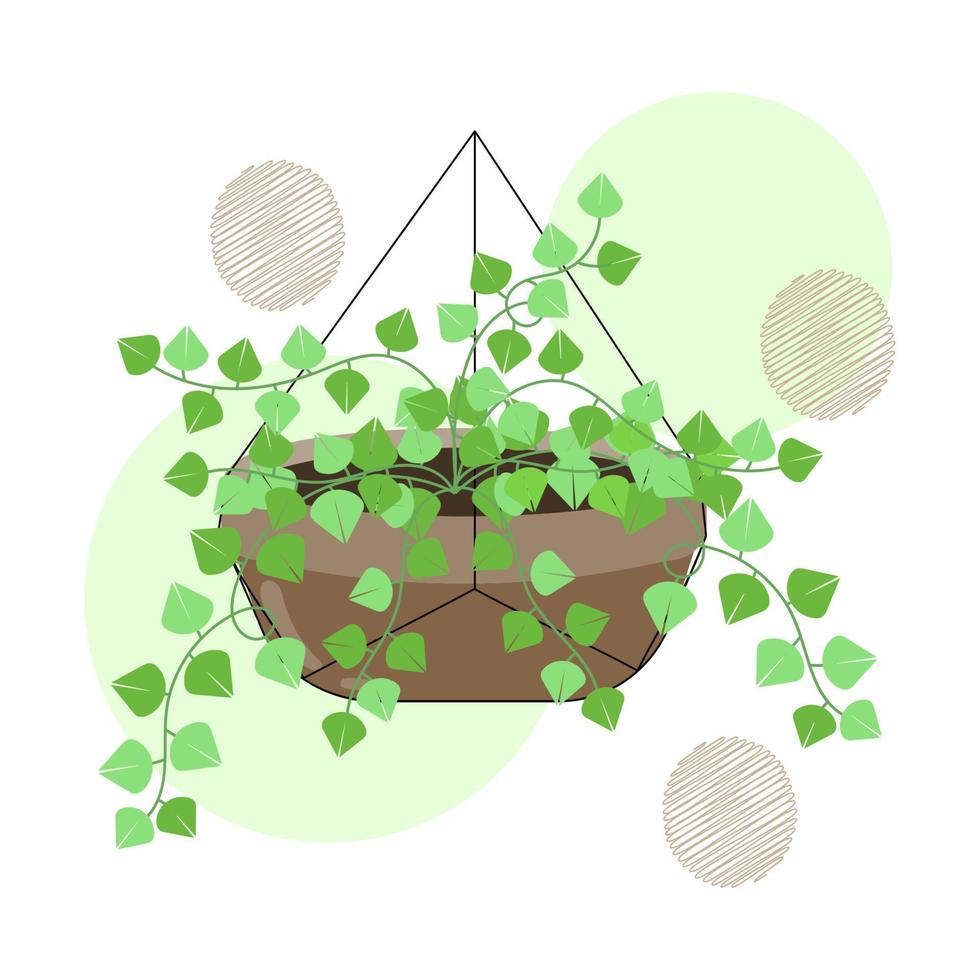 hand dragen hängande växter i de pott. isolerat hus växter för interiör bakgrund. vektor