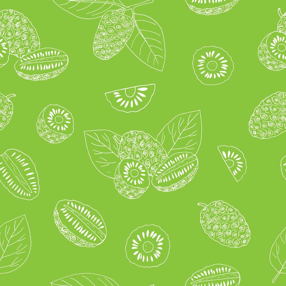 Noni-Frucht Musterdesign Hand gezeichnetes Gekritzel. , Minimalismus, Skandinavisch, Monochrom, Skizze. tapete, textilpapier hintergrund superfood lebensmittel vektor