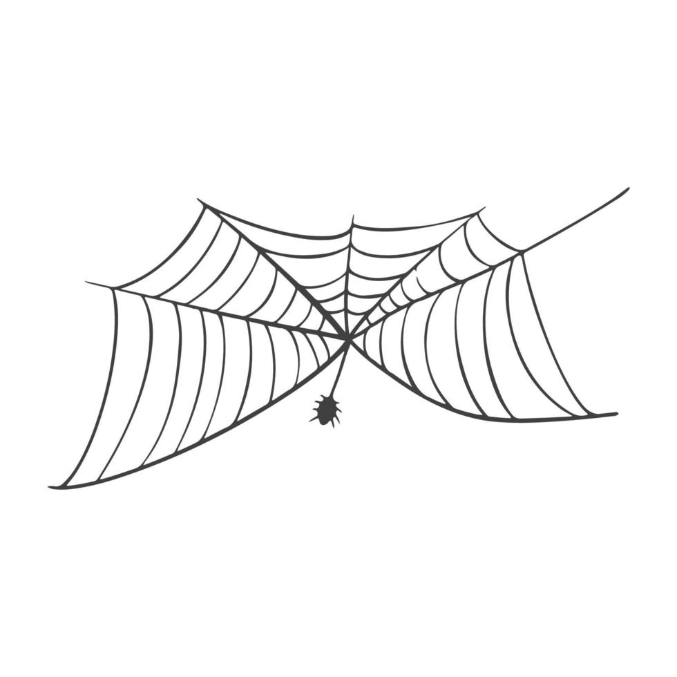 Vektor-Spinnennetz-Symbol in einer Linie auf weiß für Halloween gezeichnet. vektor