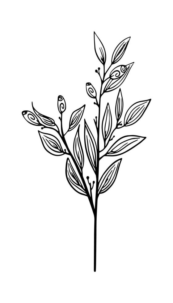 Vektor stilisierter Zweig mit Blättern und Vignetten in schwarzen Linien auf weißem Hintergrund.