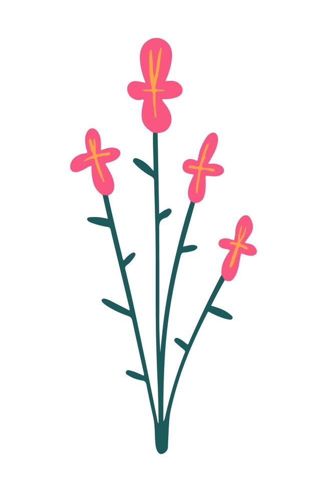 vektor illustration av rosa Glöm mig inte blomma dragen i en platt stil.