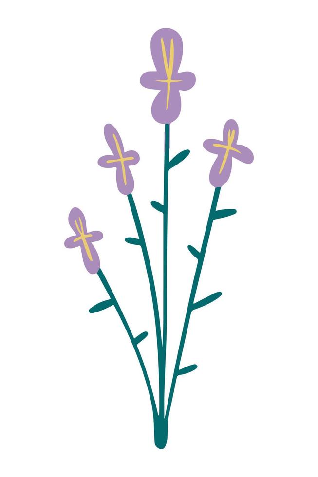 vektor illustration av lila Glöm mig inte blomma dragen i en platt stil.