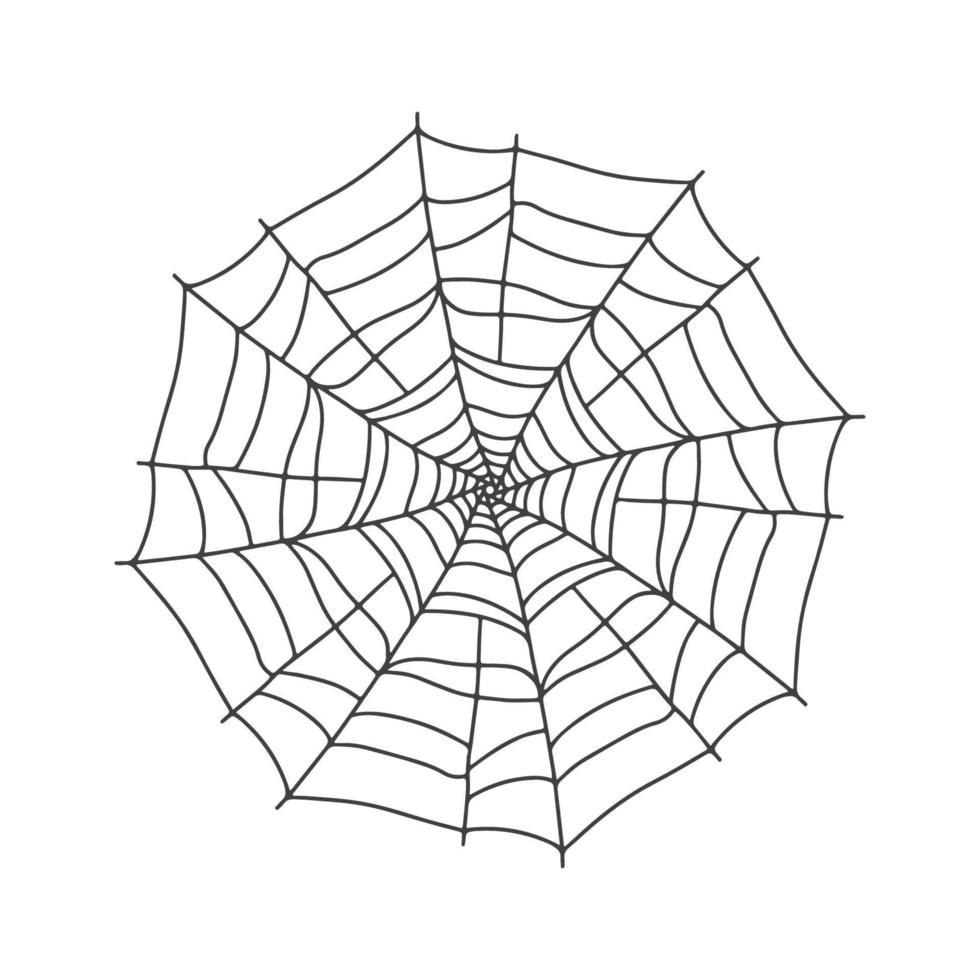 Vektor-Spinnennetz-Symbol in einer Linie auf weiß für Halloween gezeichnet. vektor